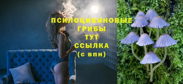 ешки Арсеньев