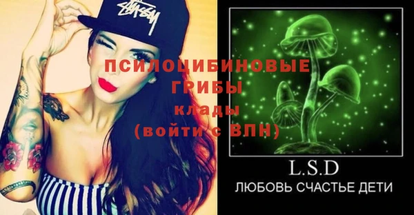 ешки Арсеньев